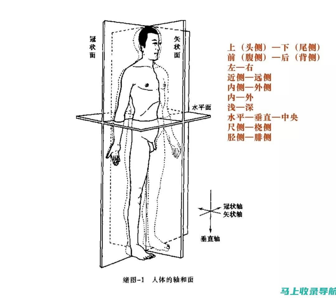 全方位解析：站长必备工具的功能与使用方法